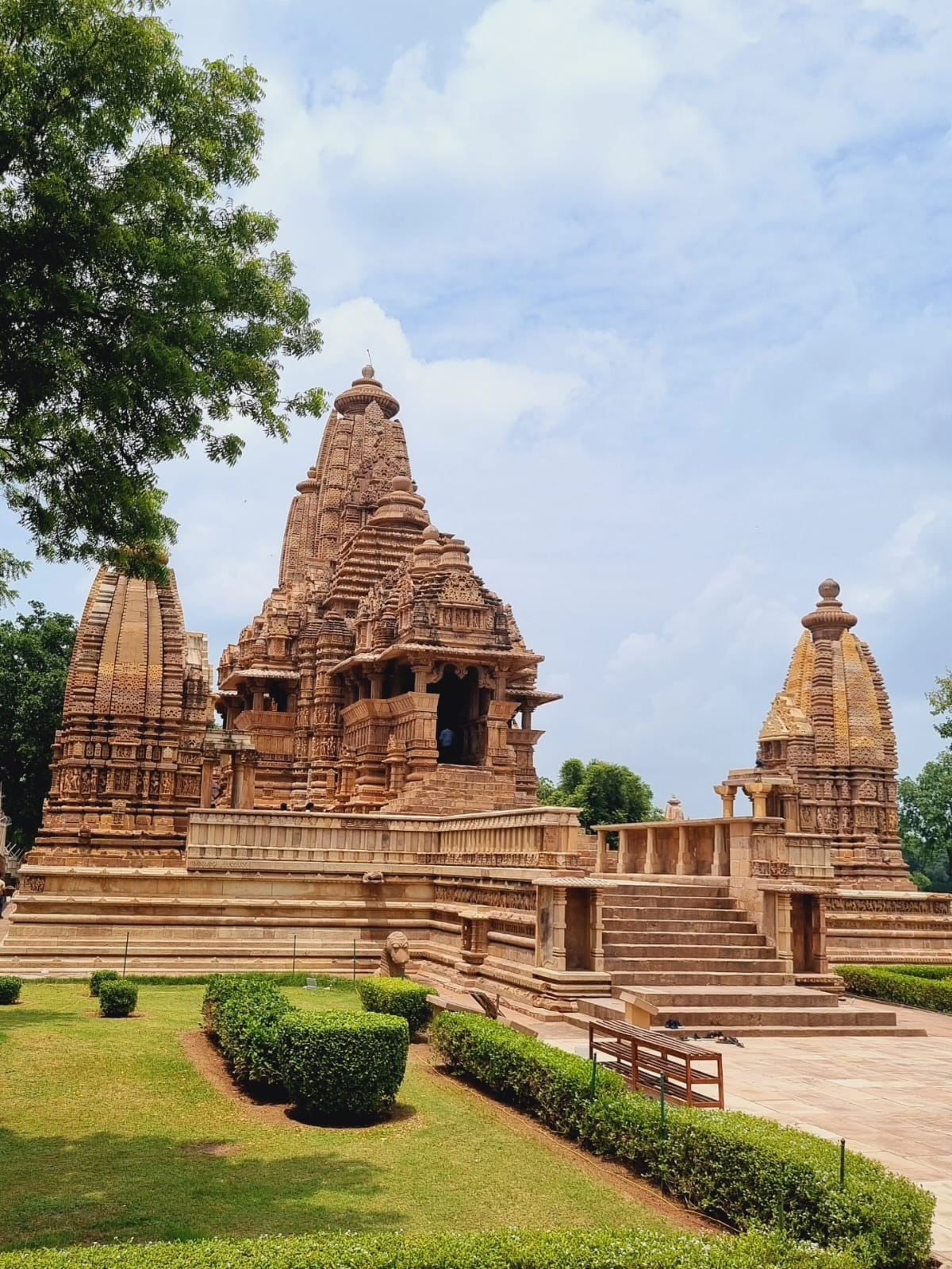 Wildlife and nature experience in Panna